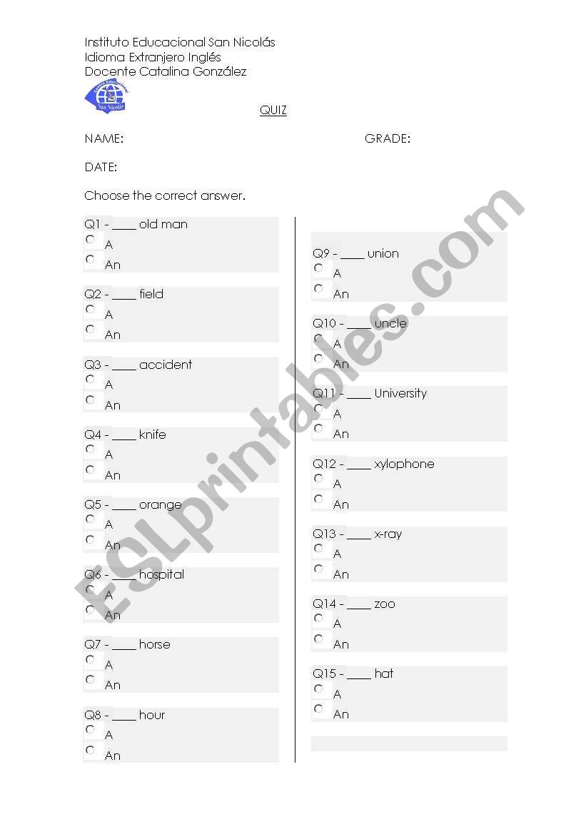 A / AN TEST worksheet