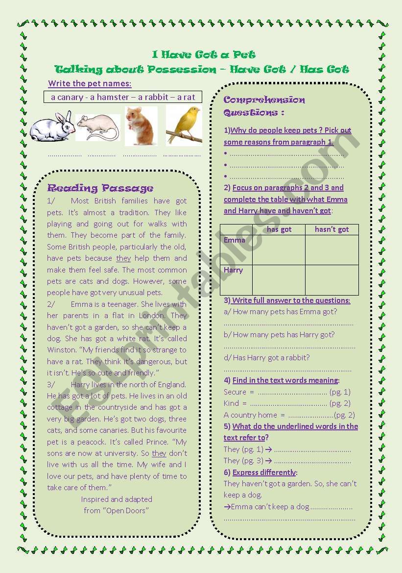 I´ve got a pet - Reading - ESL worksheet by sallouma