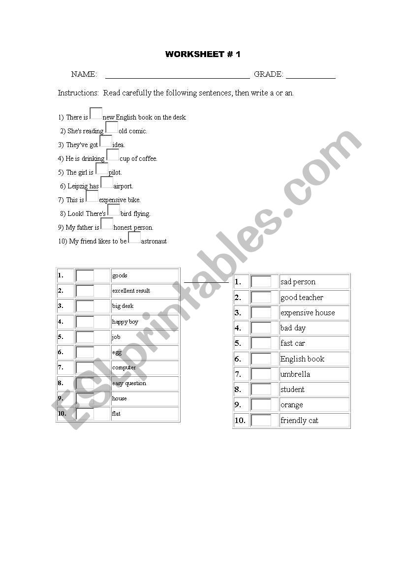 Article a-an worksheet