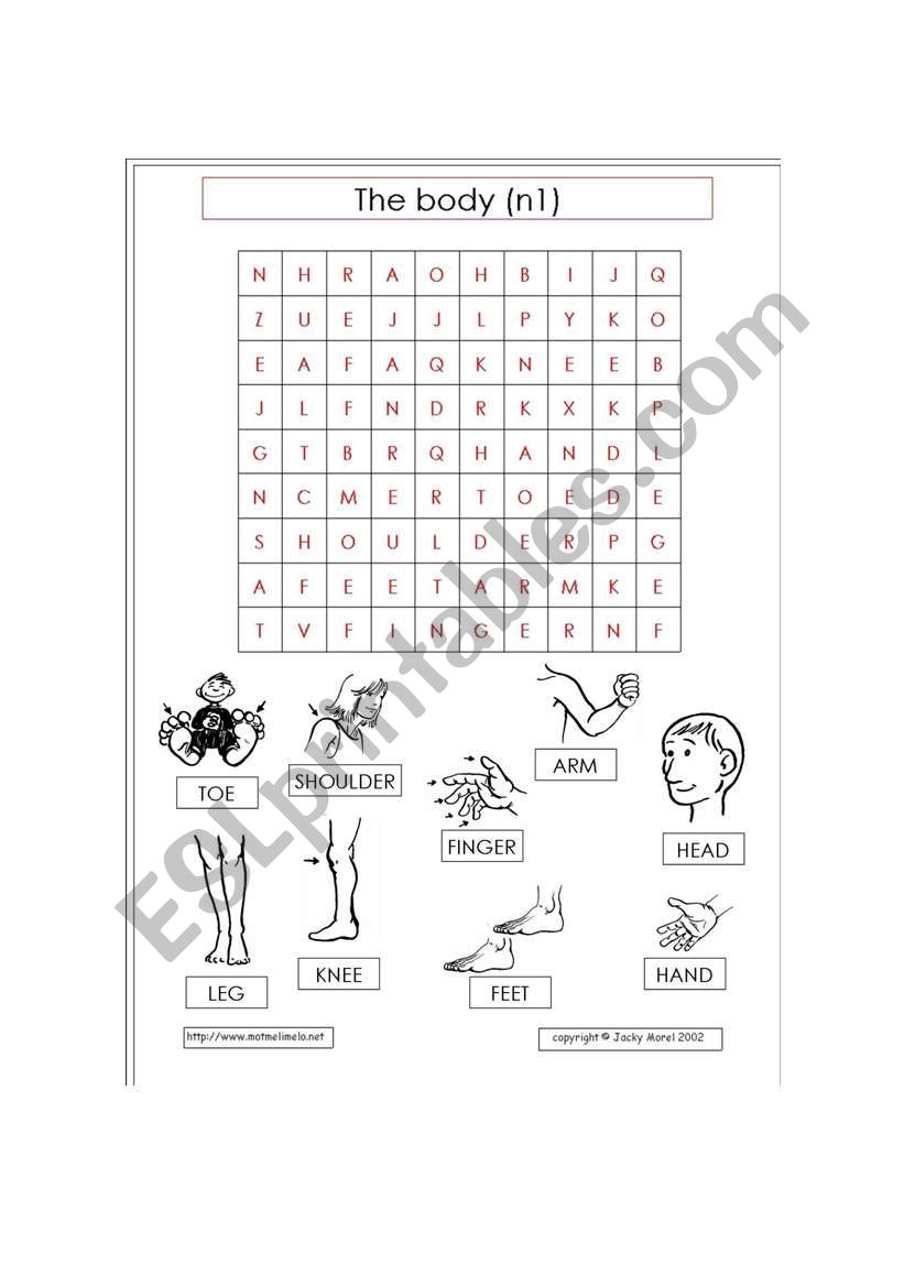 body puzzle worksheet
