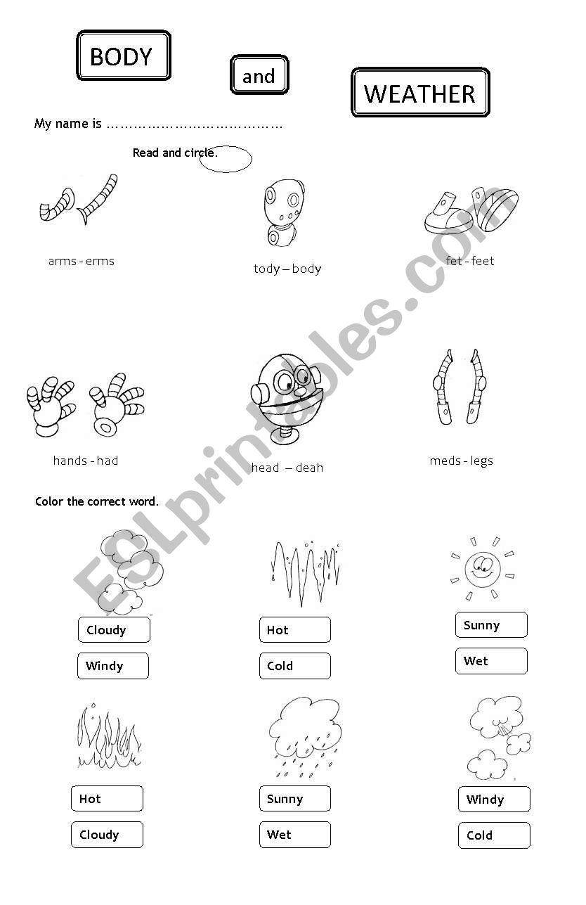 body and weather worksheet
