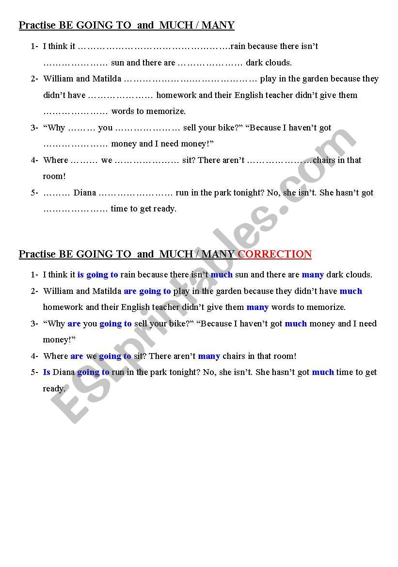 future and much - many worksheet
