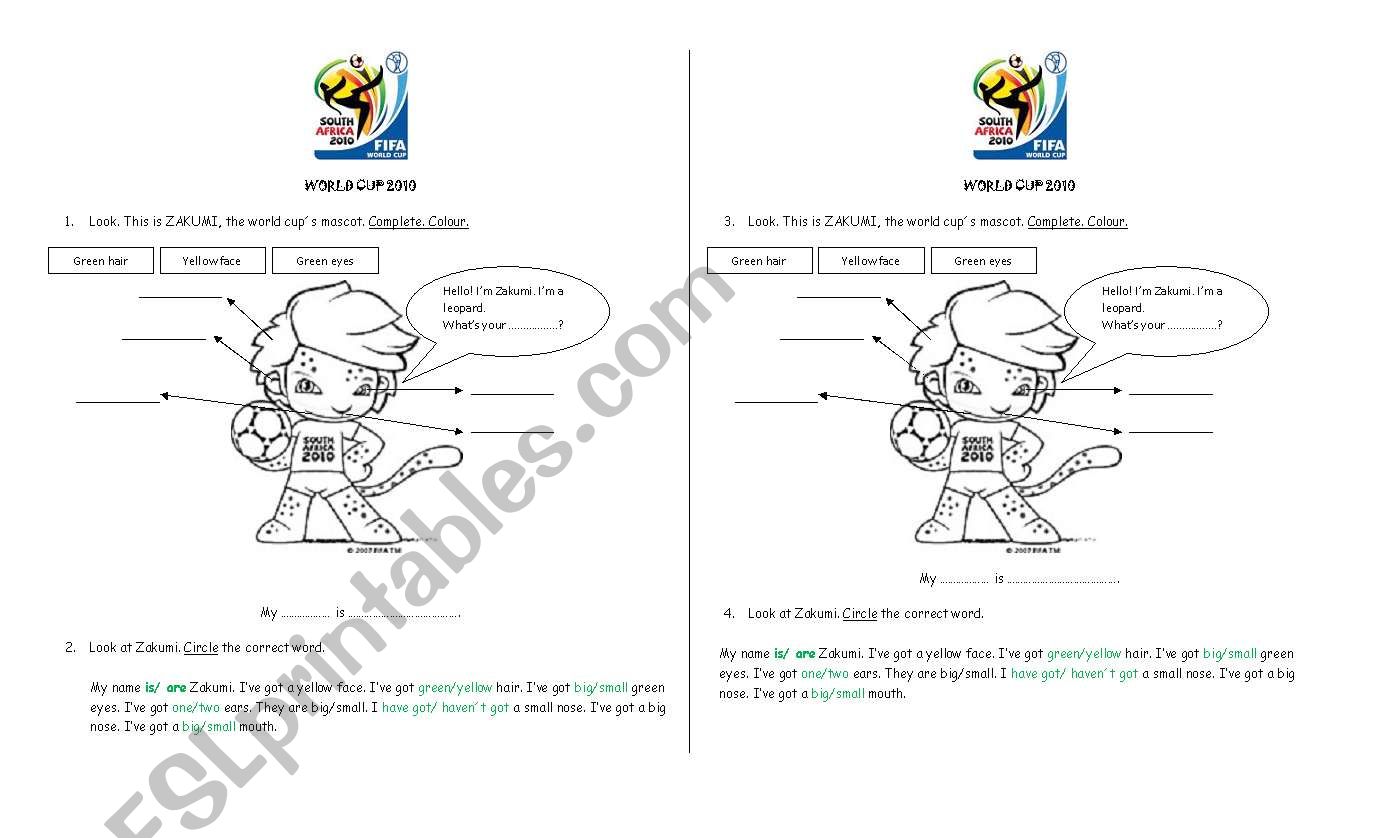 World Cup 2010 Zakumis body worksheet