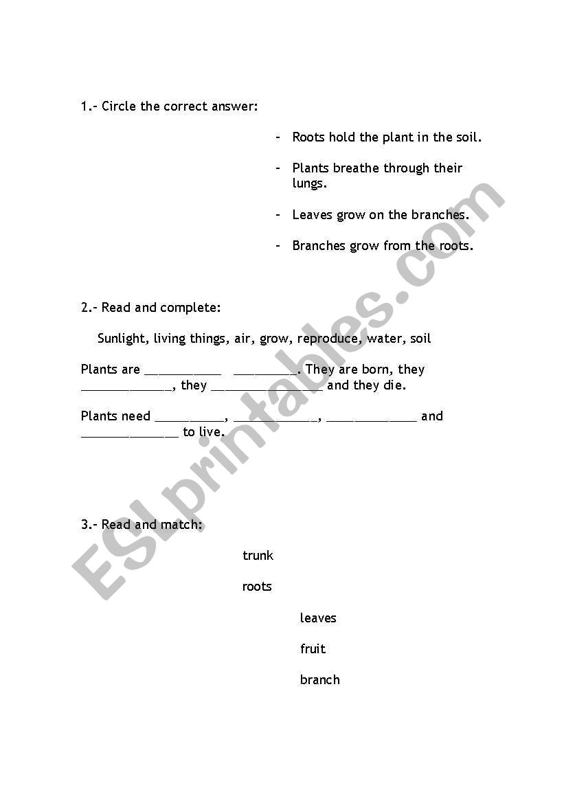 science - plants worksheet