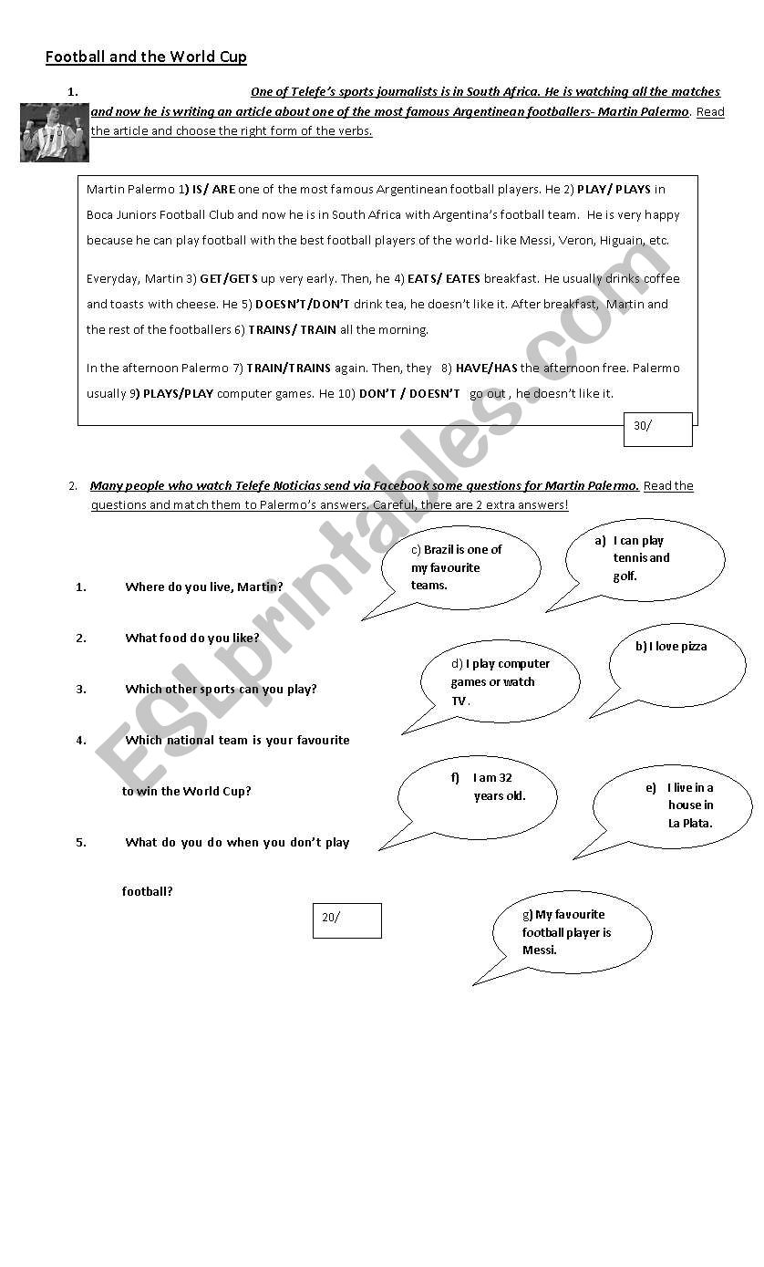 The world cup 2010 test worksheet