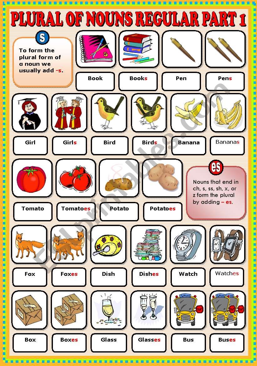 Plural Of Nouns Regular Part 1 Pictionary ESL Worksheet By Ayrin