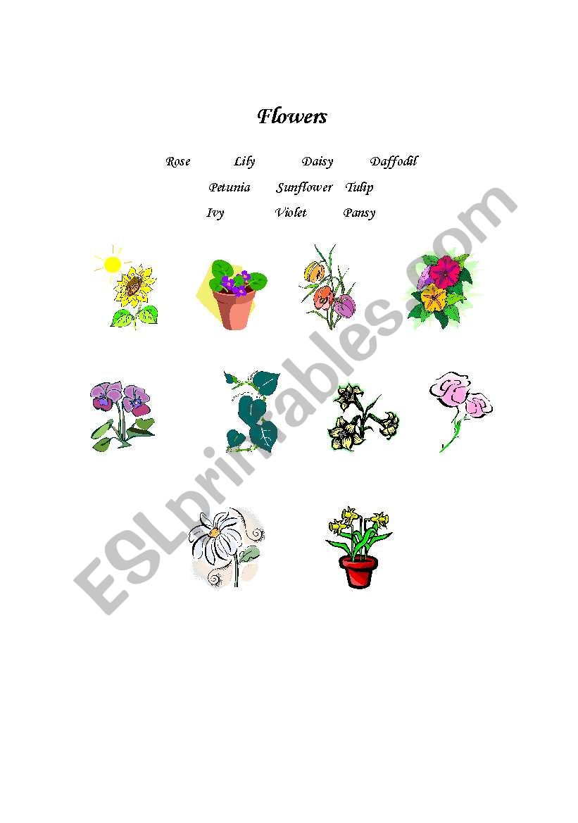 Flowers worksheet