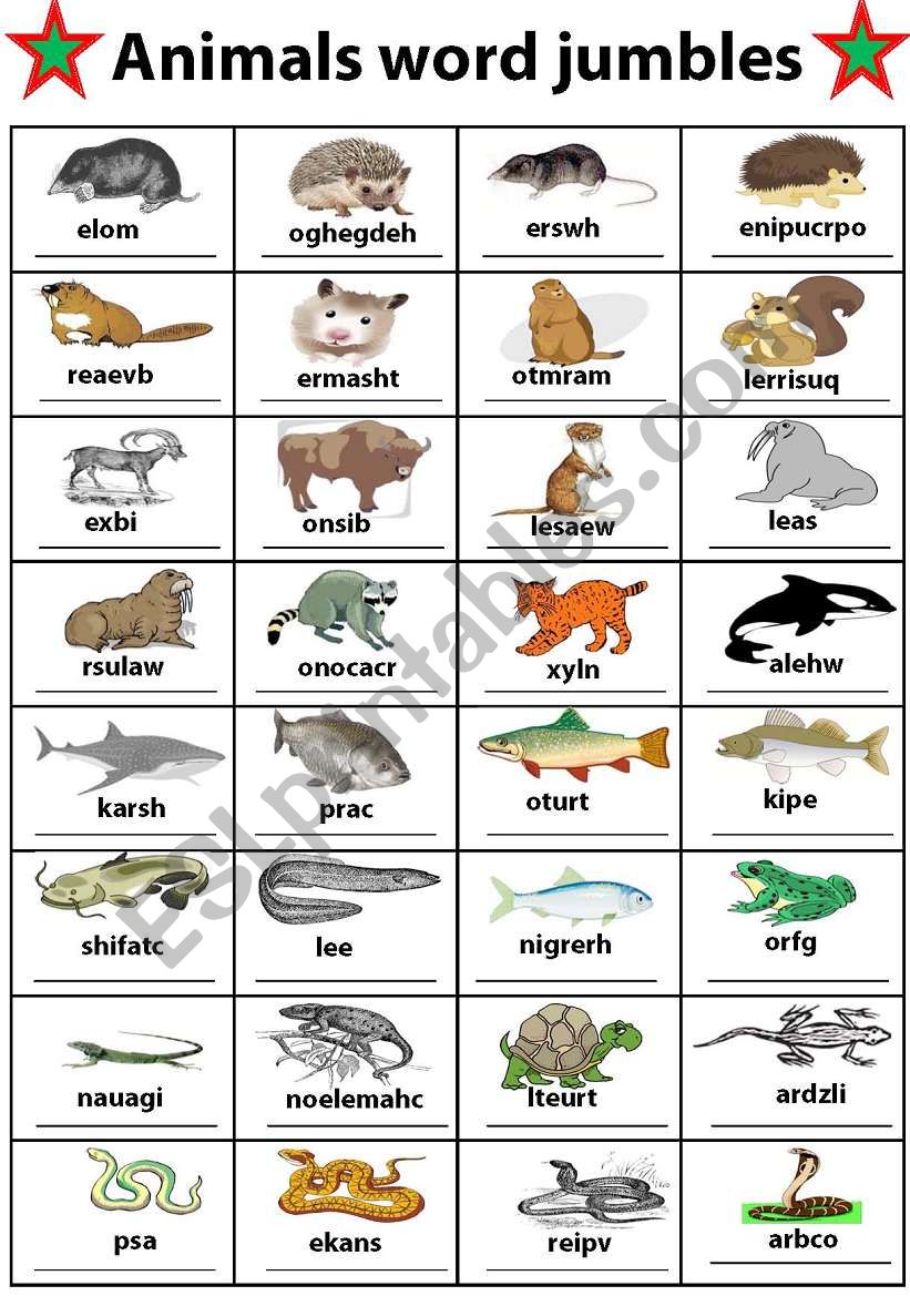 animals word  jumbles worksheet