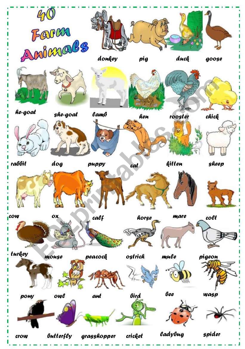 Find 40 Farm Animals worksheet