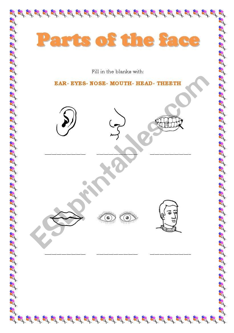 Parts of the face worksheet