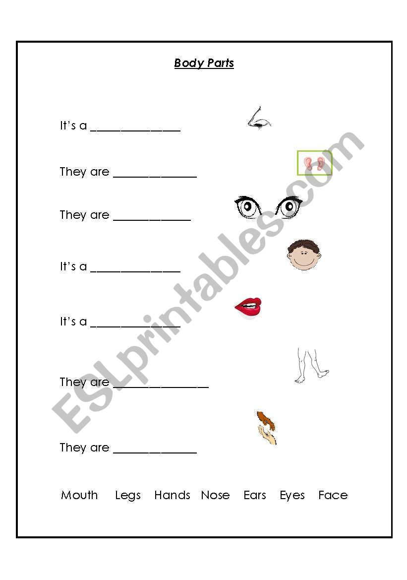 body parts match up worksheet