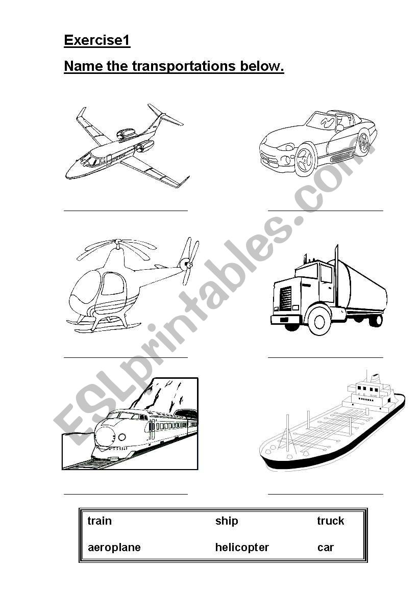 transport worksheet