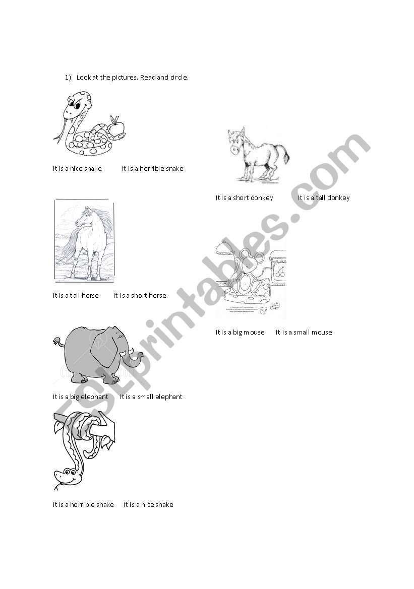 Description of animals worksheet