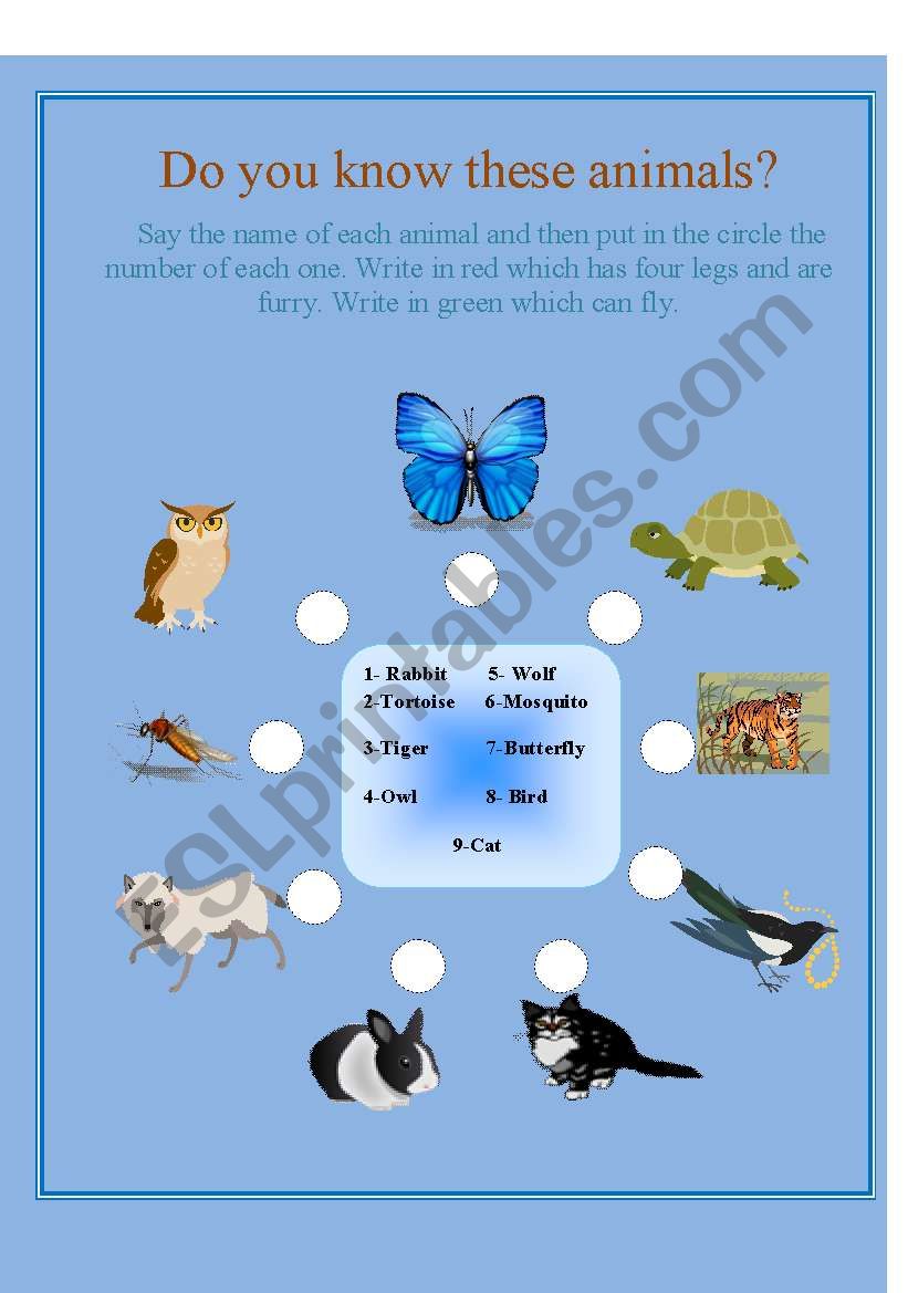 Do you know these animals? worksheet