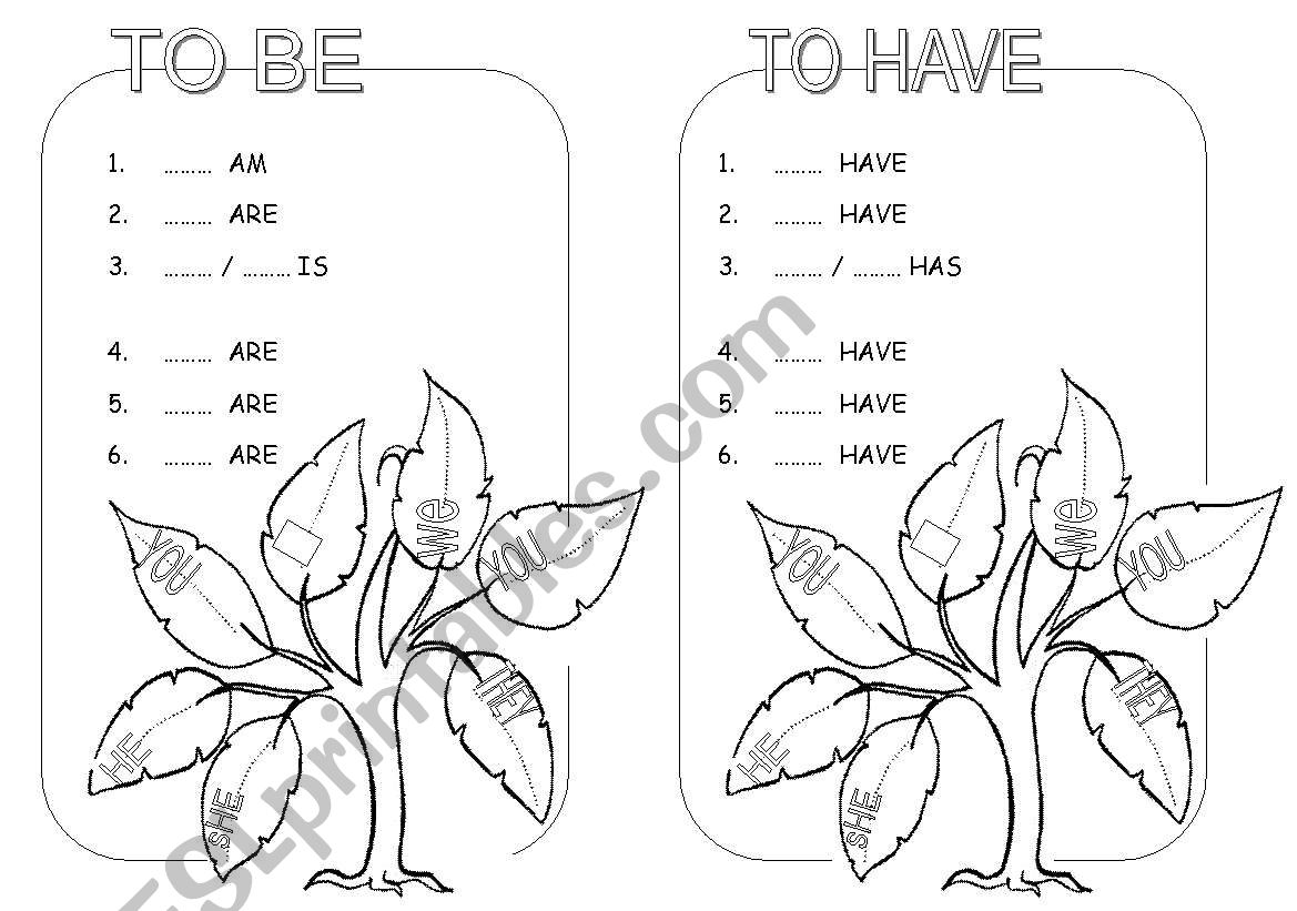 To BE -  to HAVE worksheet