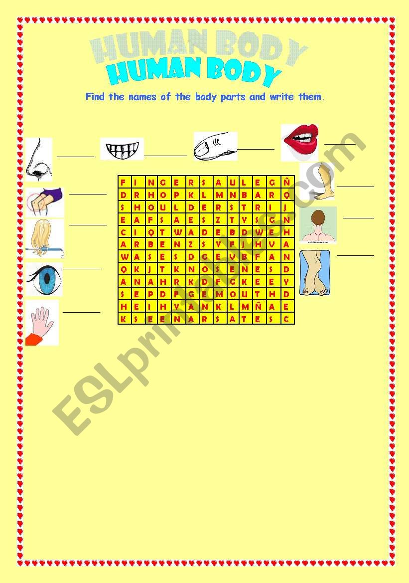 Human Body Word Search  worksheet