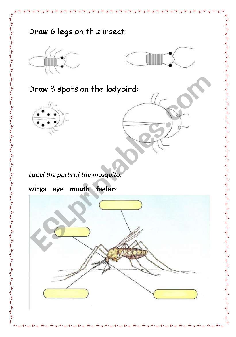 life cycle of a mosquito worksheet