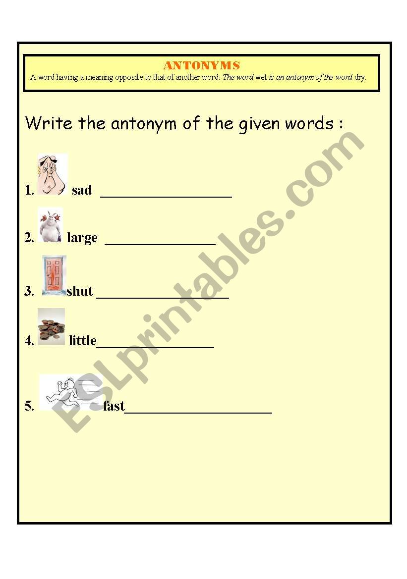 antonyms worksheet