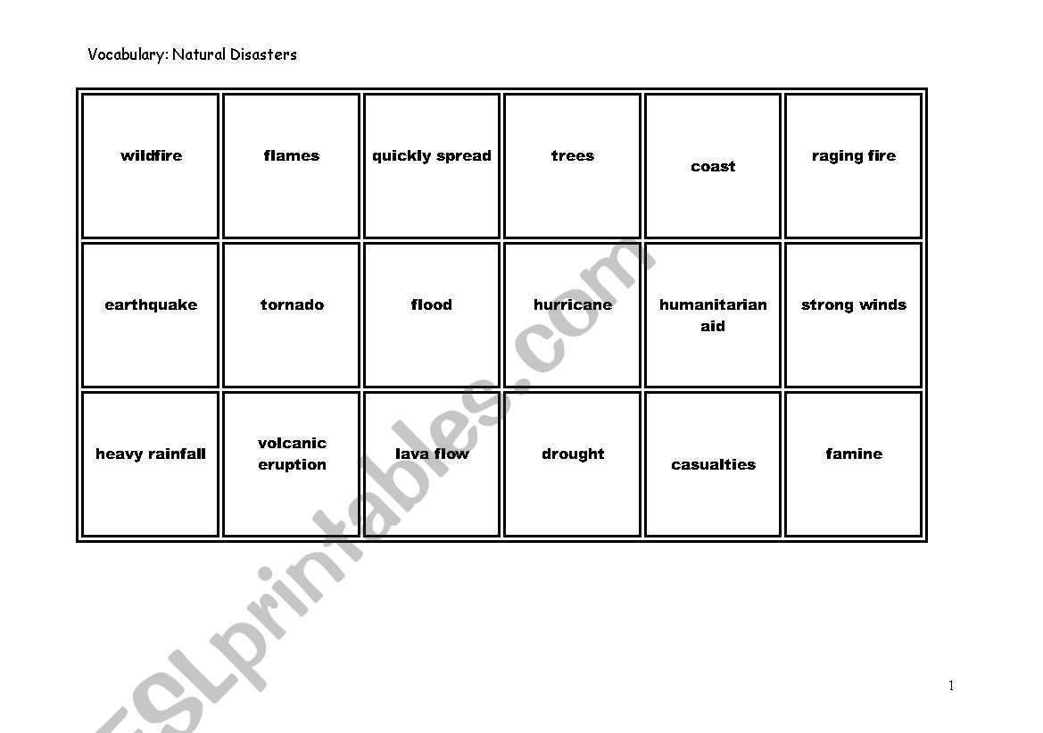 Natural Disasters  worksheet