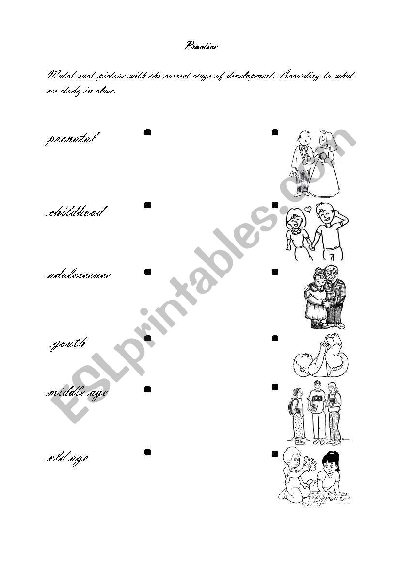 Stages of development worksheet