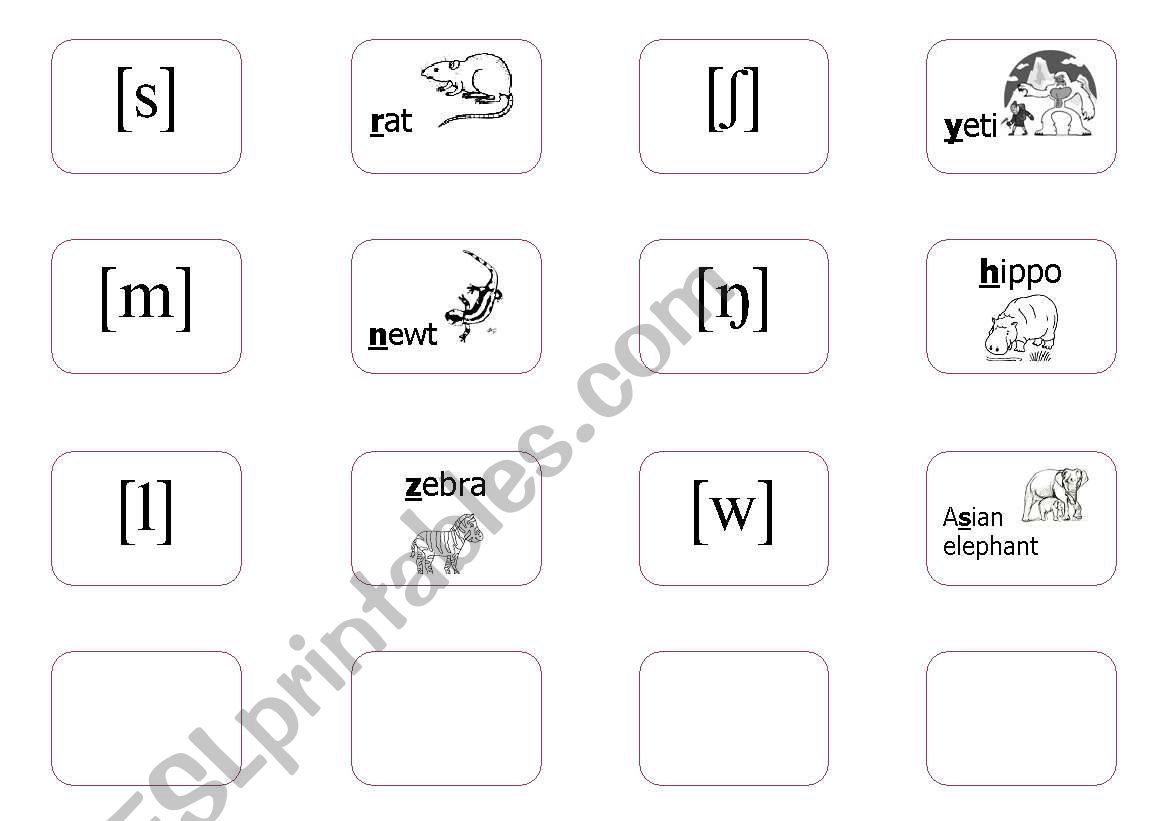 The International Phonetic Alphabet - File cards 3/3