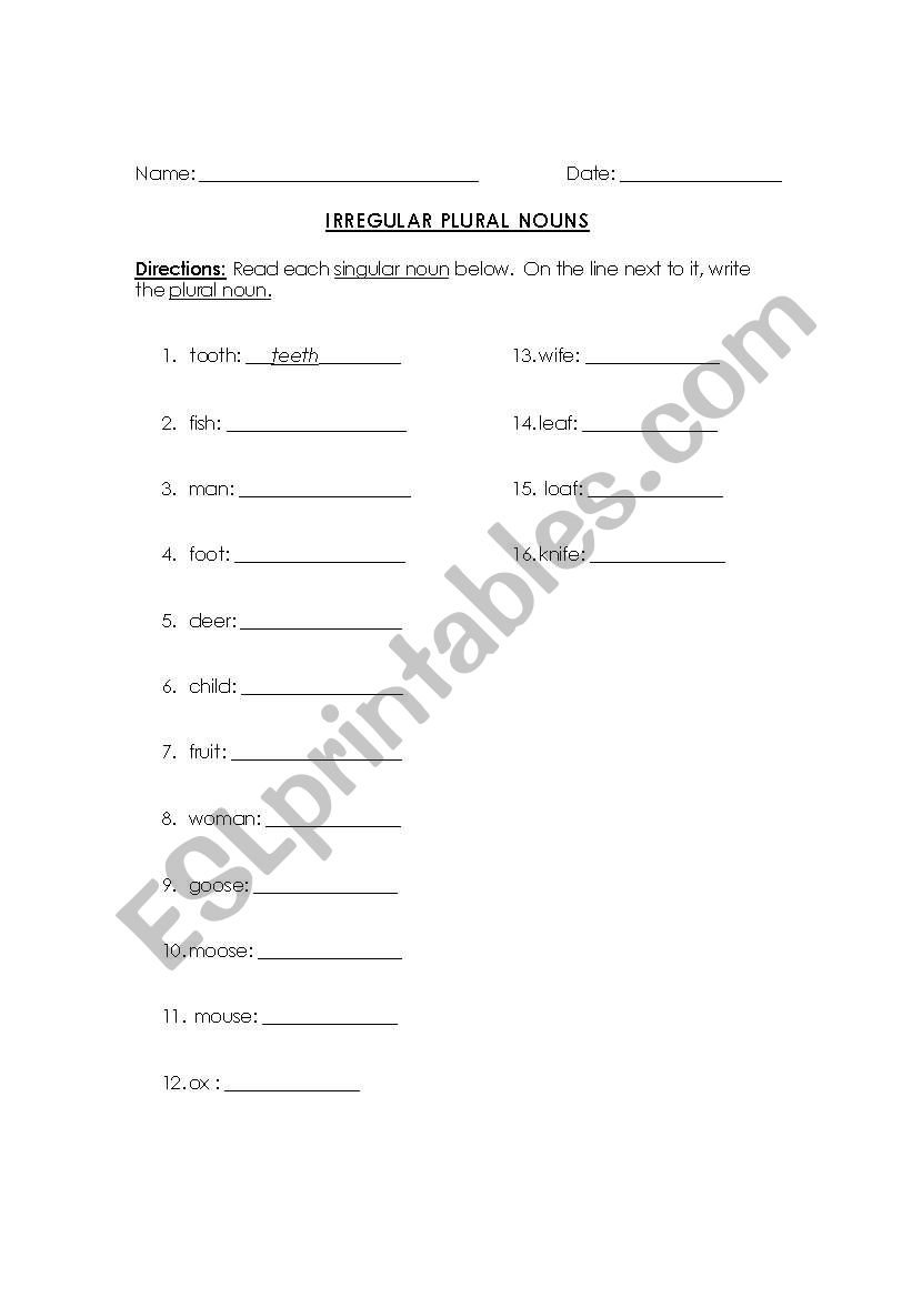 Irregular plural nouns worksheet