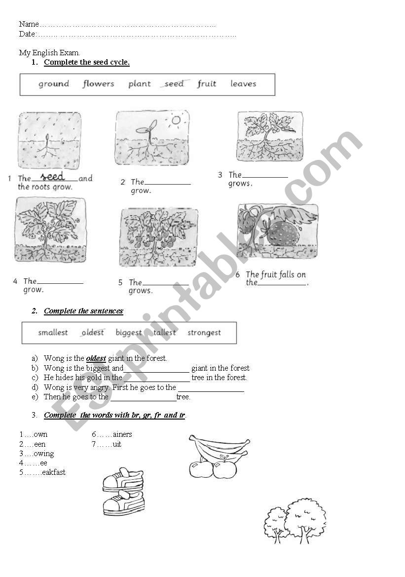 superlative review worksheet