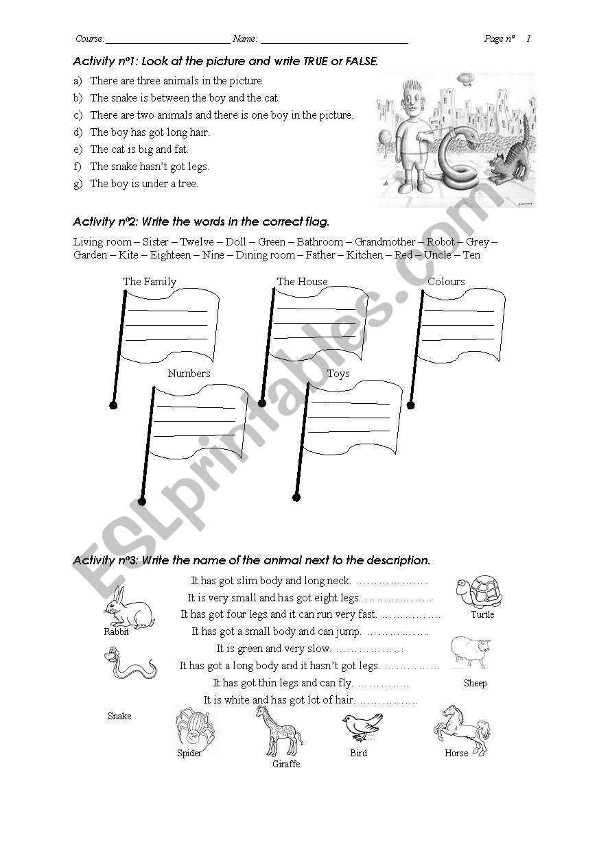 Elementary test n2 worksheet