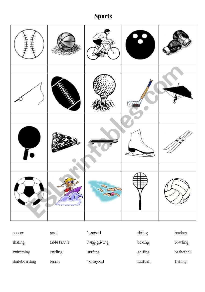 sports cards worksheet