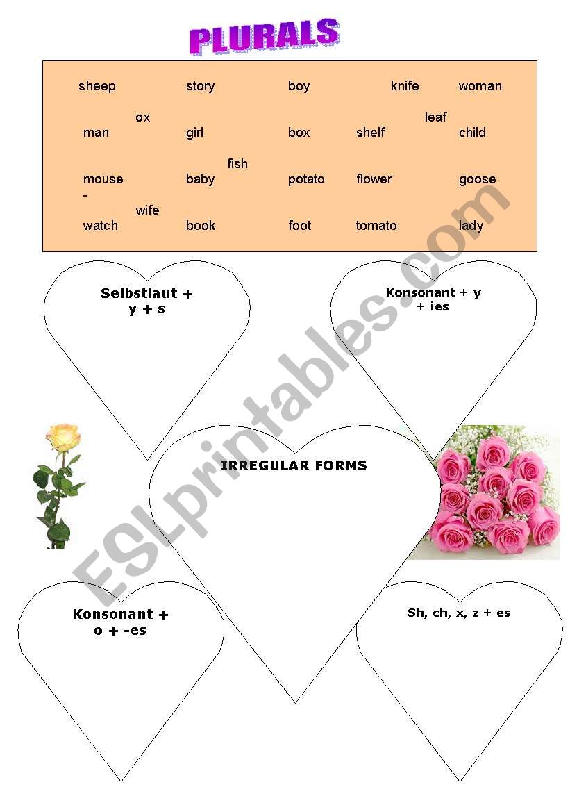 Plurals worksheet