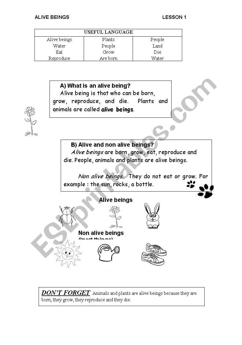 Crazy beings worksheet