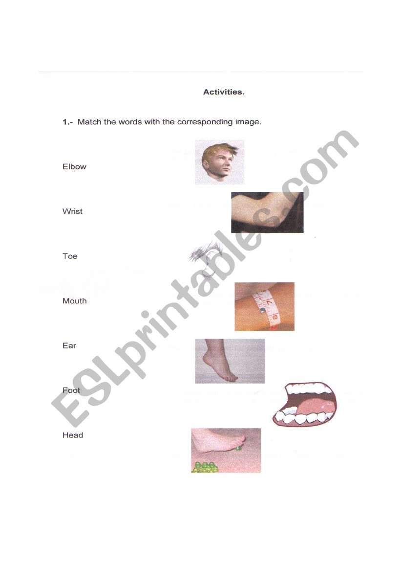 Parts of the body worksheet