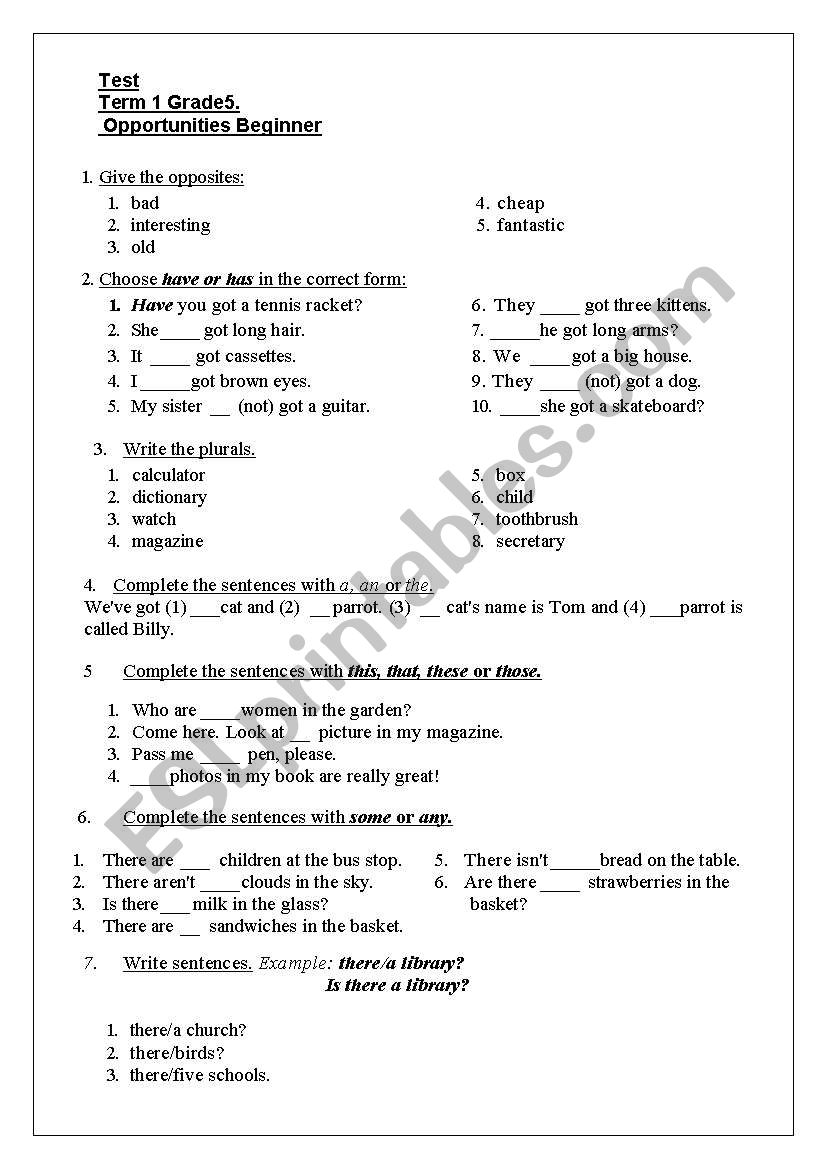 Test paper Opportunities Elementary