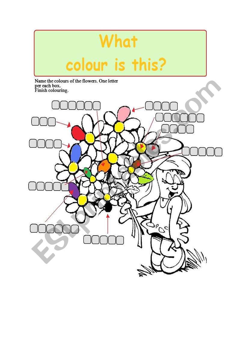What is this colour? worksheet