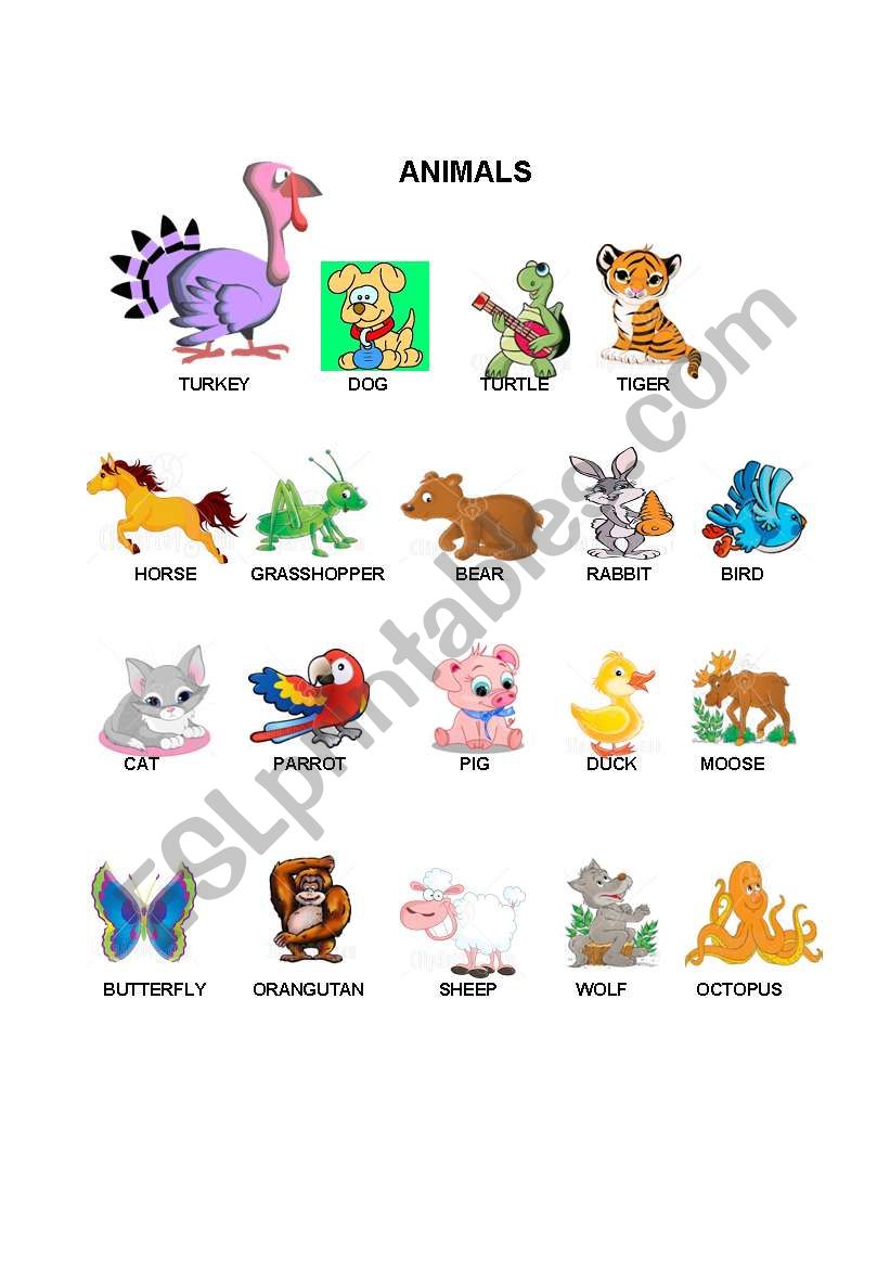 English worksheets: vocabulary of the animals...