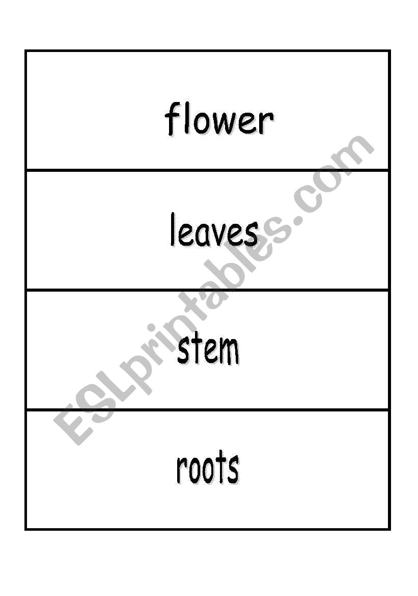 Plant match worksheet