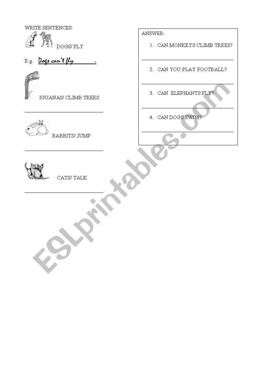 CAN VS CANT worksheet