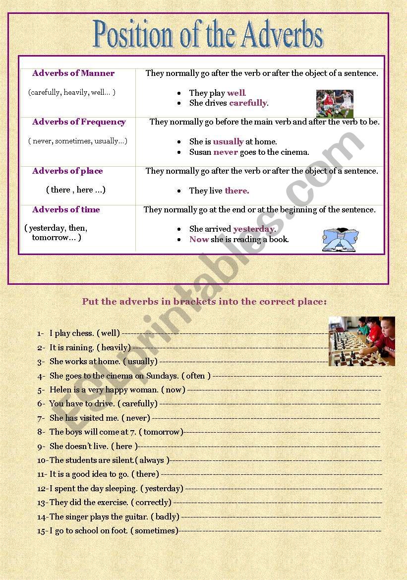 Position Of The Adverbs ESL Worksheet By Jacymgalhaes