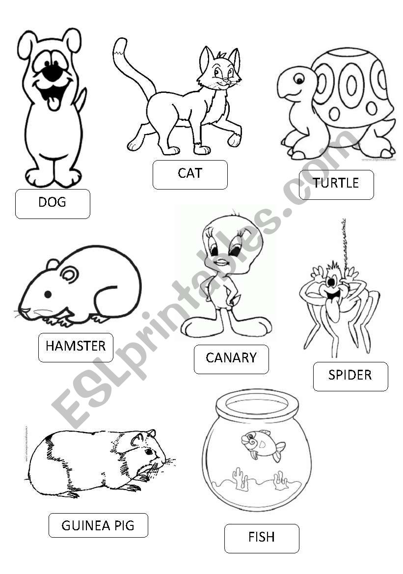 Pets Pictionary Esl Worksheet By Adriro824