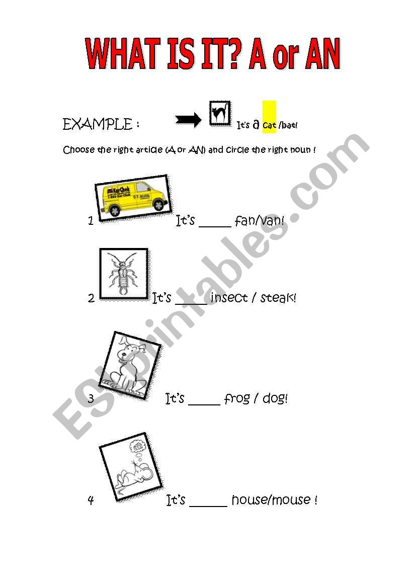 A or An/ Spelling worksheet