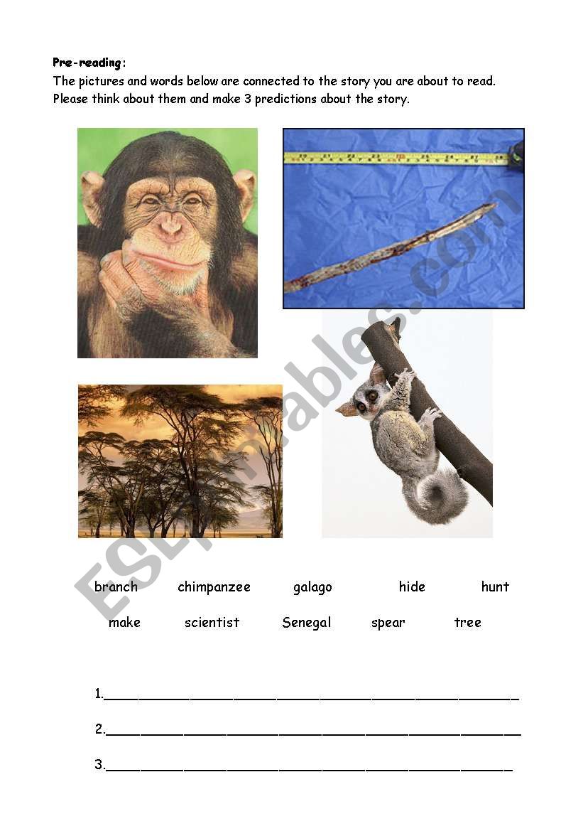Tool-Using Chimpanzees Reading Lesson