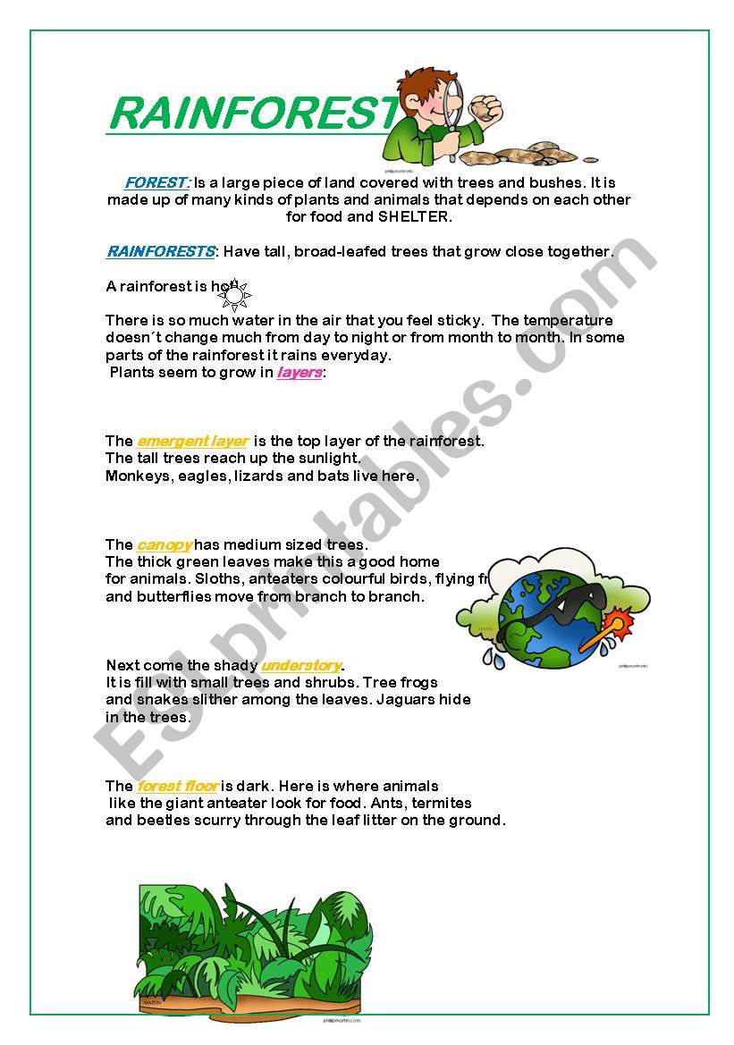 FORESTS worksheet