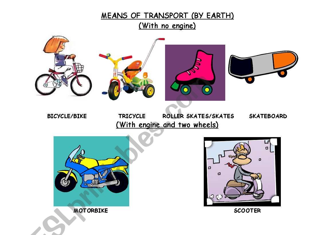 THE MEANS OF TRANSPORT (BY EARTH -A-)