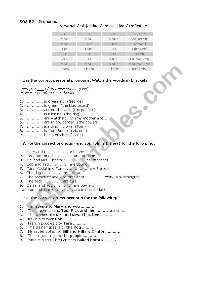 Simple Present worksheet worksheet