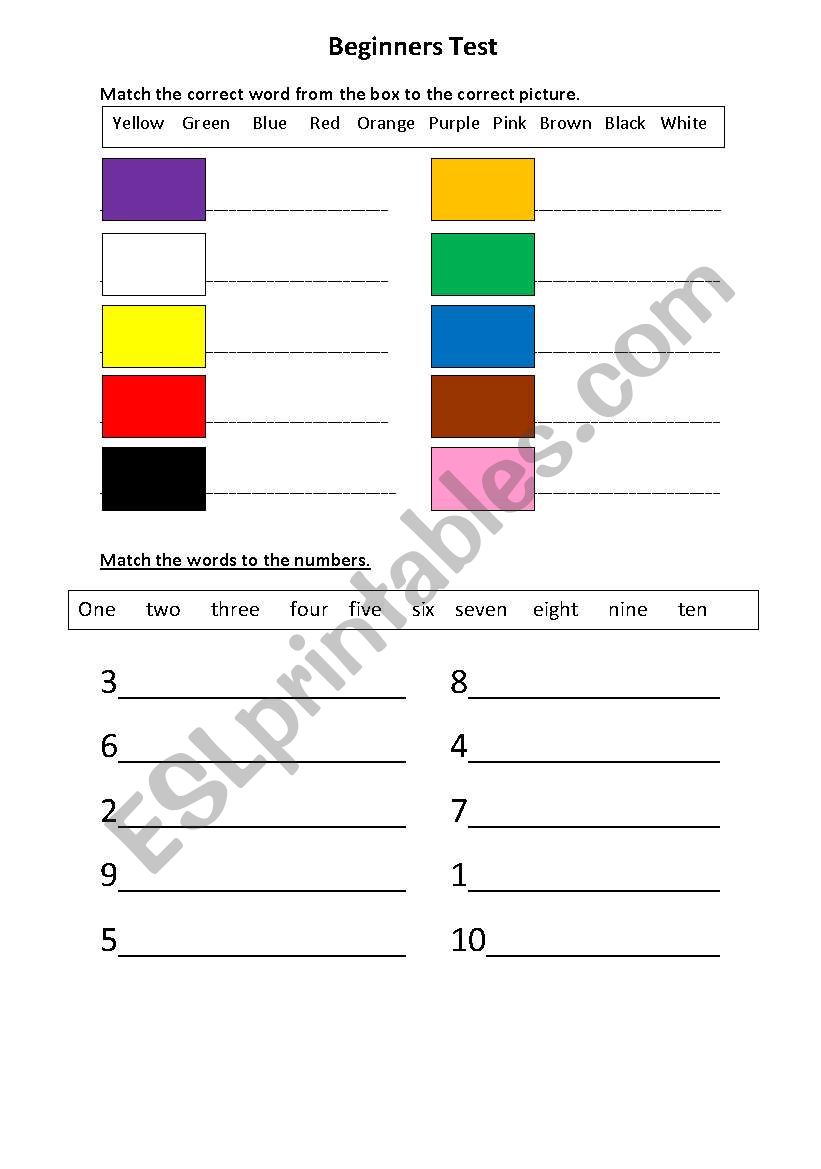 beginners test worksheet