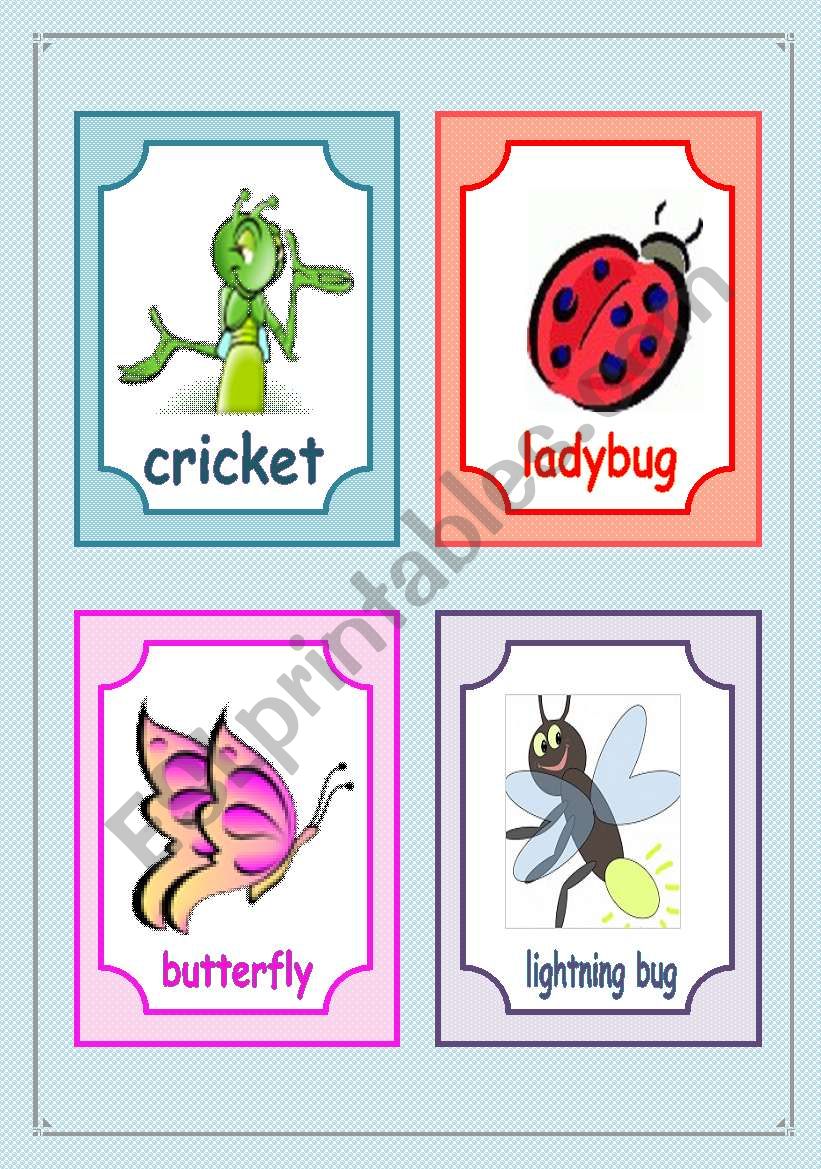 Insects Flashcards Fully Editable ESL Worksheet By Sara26