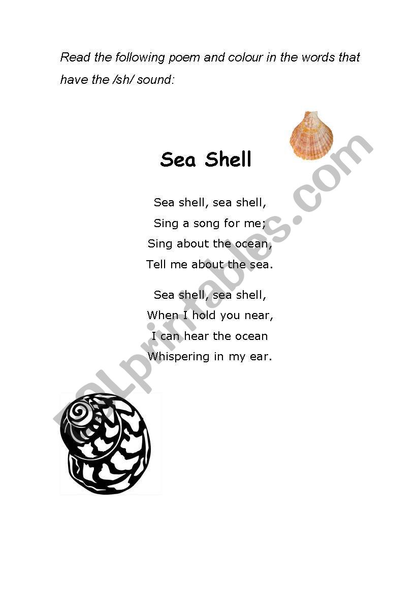 Sea Shell Poem - 