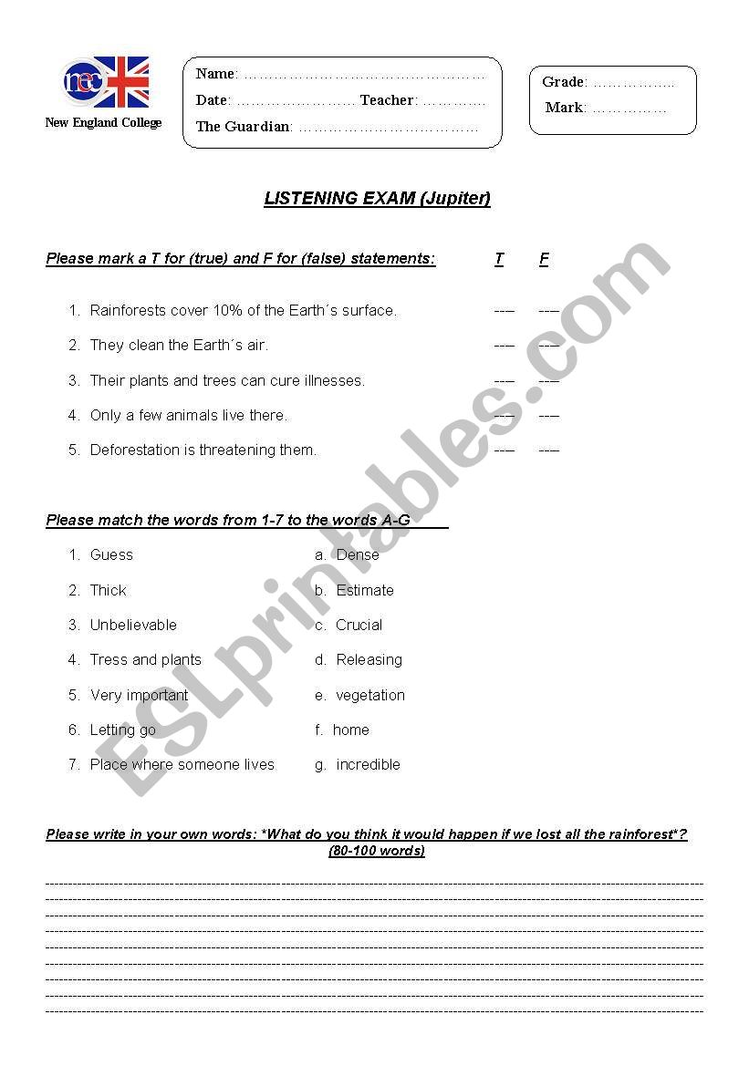 Second Condiitonal worksheet