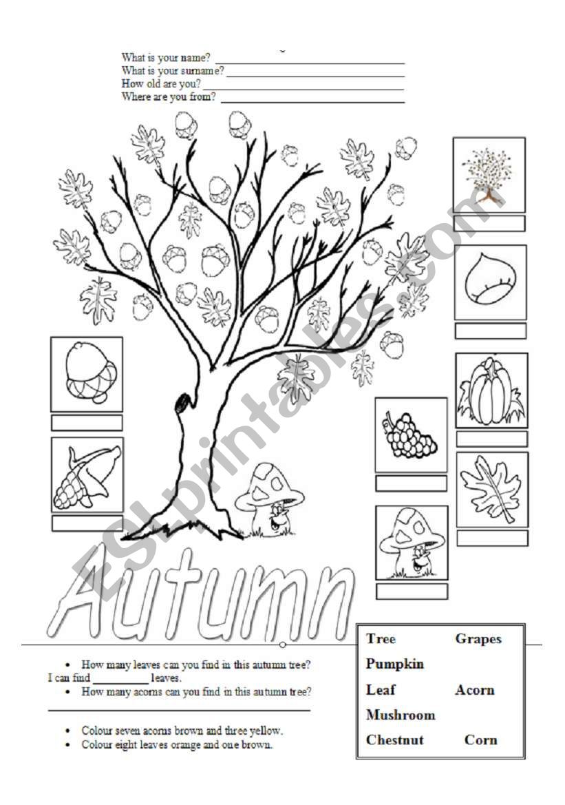 Free Printable Autumn Worksheets