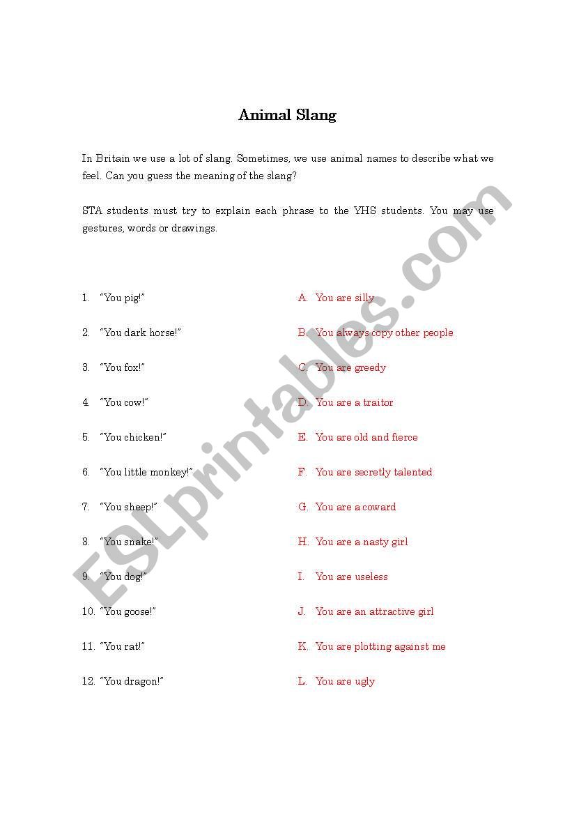 British Animal Slang worksheet